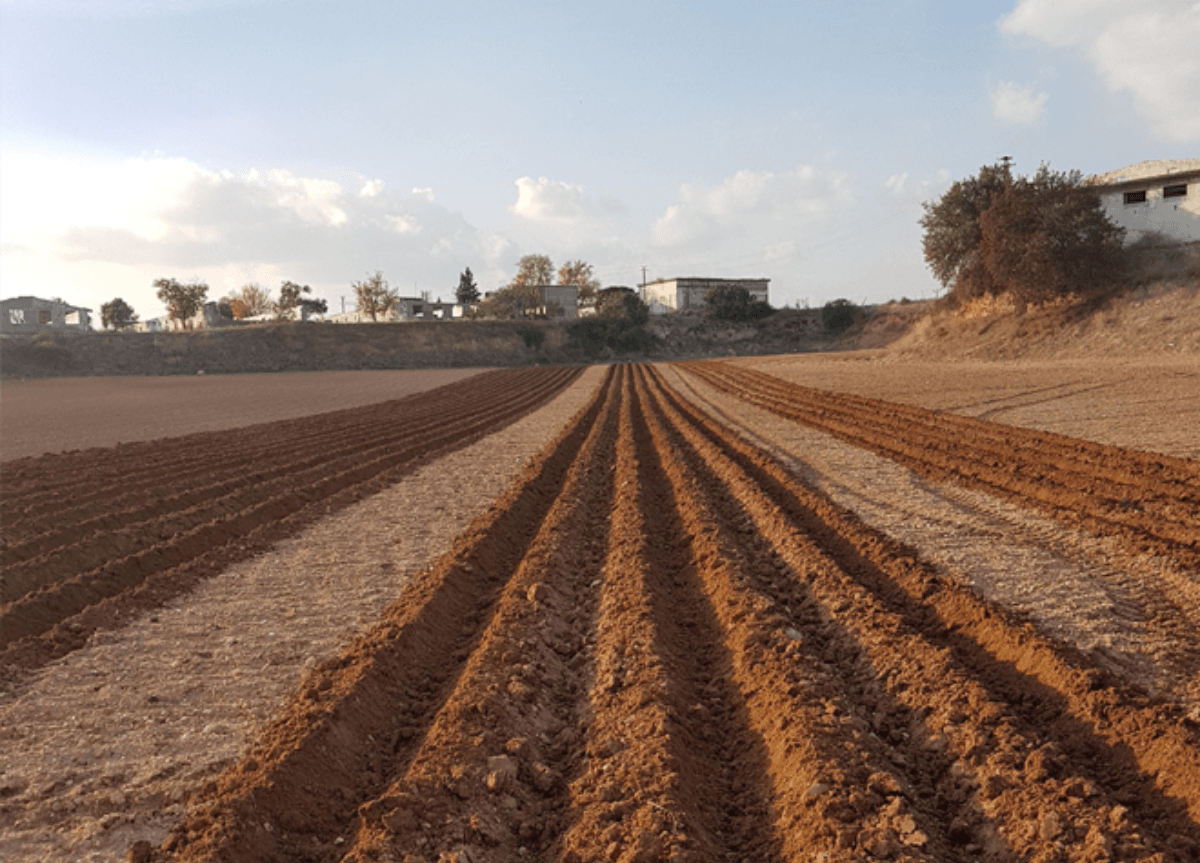 Farmers urged to speed up winter wheat preparations