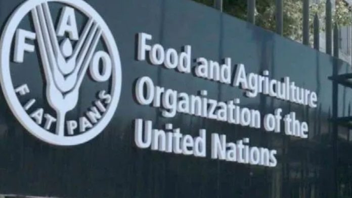 FAO  intensifies monitoring of soil management projects in Zim