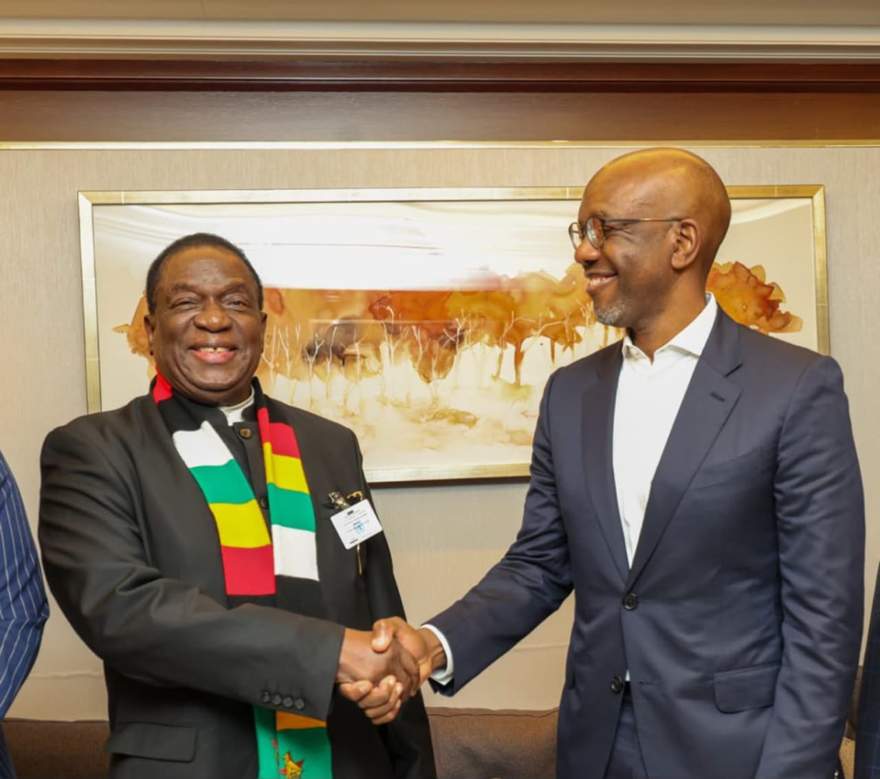 Google, Zimbabwe eye AI skills partnership