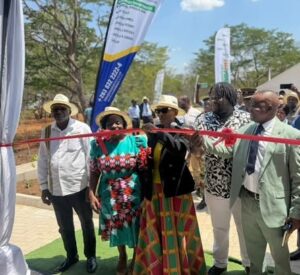 Masuwe project set to reshape Victoria Falls Tourism - HararePost